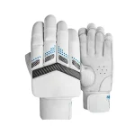 Cricket Batting & Inner Gloves