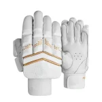 Cricket Batting & Inner Gloves