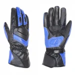 Motorbike Gloves